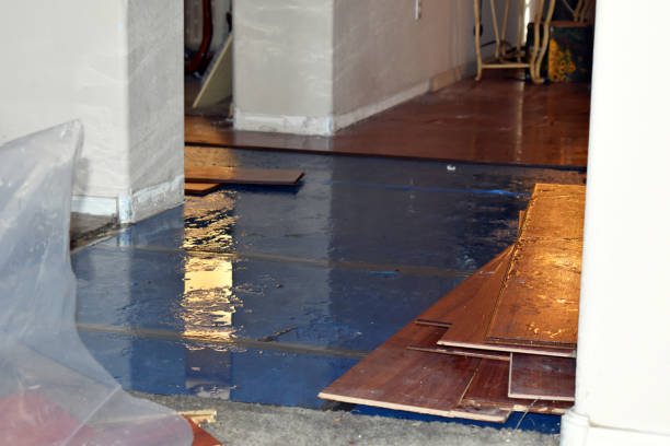 Professional Basement Water Removal technician working in Rangeley, ME